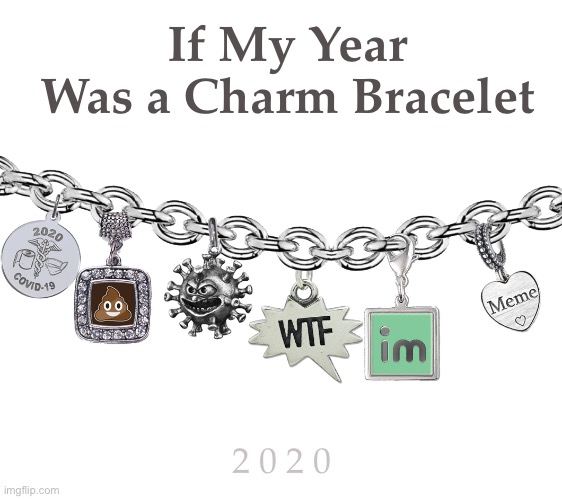 Fashion Statement | If My Year Was a Charm Bracelet; 2 0 2 0 | image tagged in funny memes,2020 sucks,2020,charms | made w/ Imgflip meme maker
