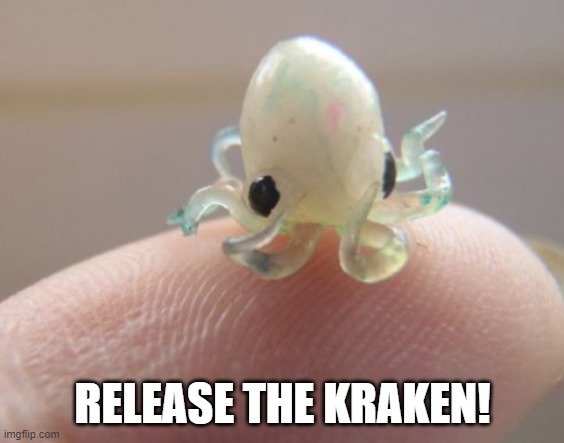 RELEASE THE KRAKEN | RELEASE THE KRAKEN! | image tagged in release the kraken,baby kraken,smol,tiny,cute | made w/ Imgflip meme maker