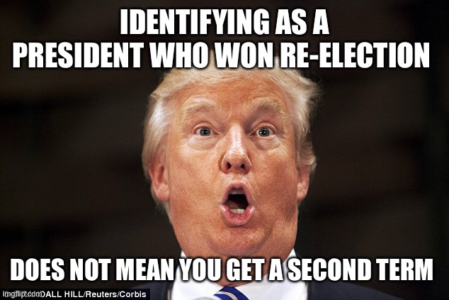 Trump stupid face | IDENTIFYING AS A PRESIDENT WHO WON RE-ELECTION; DOES NOT MEAN YOU GET A SECOND TERM | image tagged in trump stupid face | made w/ Imgflip meme maker