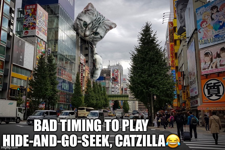 Hide and No Seek Catzilla Style | BAD TIMING TO PLAY HIDE-AND-GO-SEEK, CATZILLA😂 | image tagged in catzilla,i see you,funny cat memes,funny memes | made w/ Imgflip meme maker