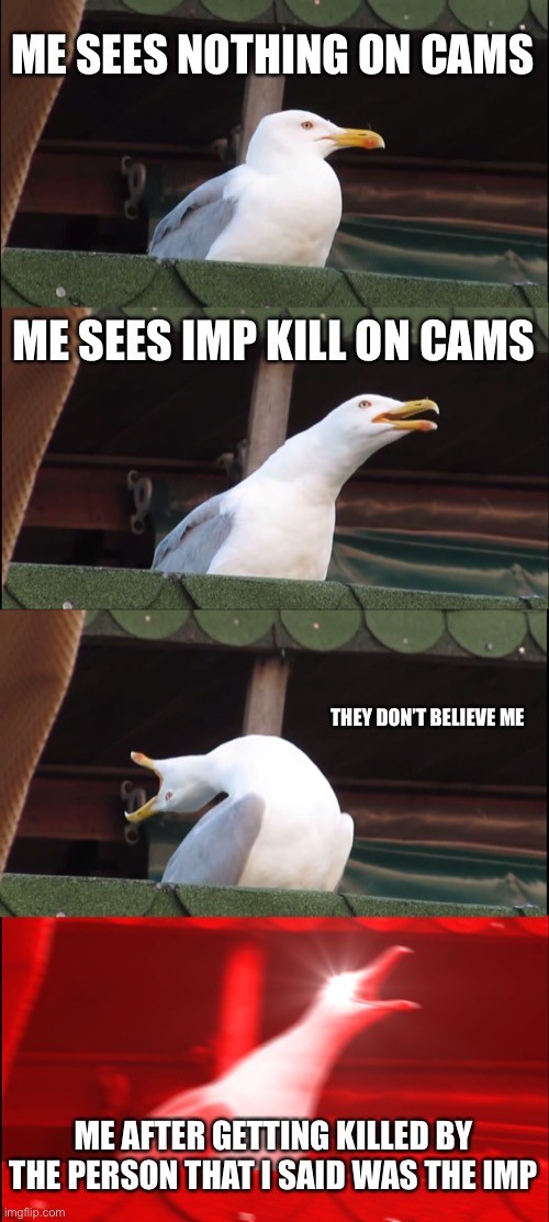 This makes me so mad | ME SEES NOTHING ON CAMS; ME SEES IMP KILL ON CAMS; THEY DON’T BELIEVE ME; ME AFTER GETTING KILLED BY THE PERSON THAT I SAID WAS THE IMP | image tagged in memes,inhaling seagull | made w/ Imgflip meme maker