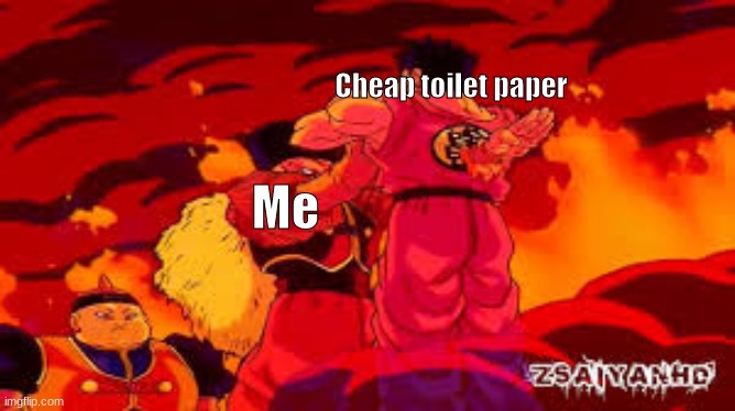 Relatable anyone? | Cheap toilet paper; Me | image tagged in l,o | made w/ Imgflip meme maker