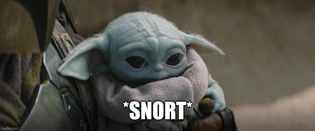 Baby Yoda Chuckle | *SNORT* | image tagged in baby yoda,chuckle,snort,mandalorian | made w/ Imgflip meme maker