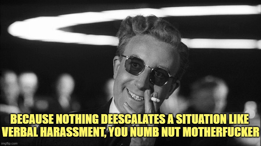 Doctor Strangelove says... | BECAUSE NOTHING DEESCALATES A SITUATION LIKE 
VERBAL HARASSMENT, YOU NUMB NUT MOTHERFUCKER | image tagged in doctor strangelove says | made w/ Imgflip meme maker