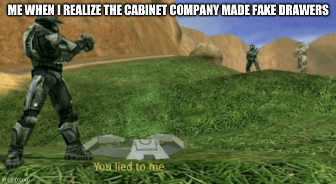 You lied to me | ME WHEN I REALIZE THE CABINET COMPANY MADE FAKE DRAWERS | image tagged in you lied to me | made w/ Imgflip meme maker