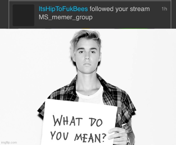 What? | image tagged in memes | made w/ Imgflip meme maker