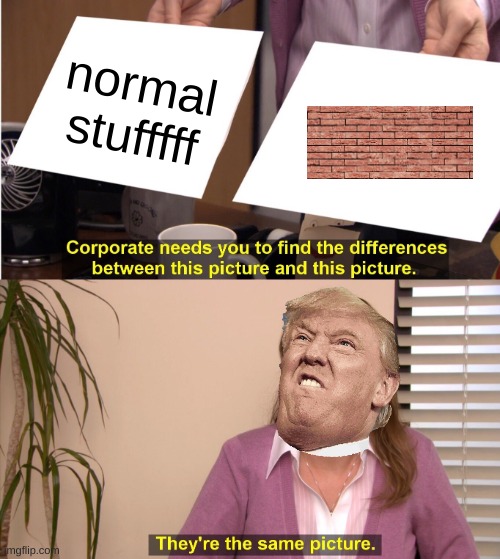 They're The Same Picture | normal stufffff | image tagged in memes,they're the same picture | made w/ Imgflip meme maker