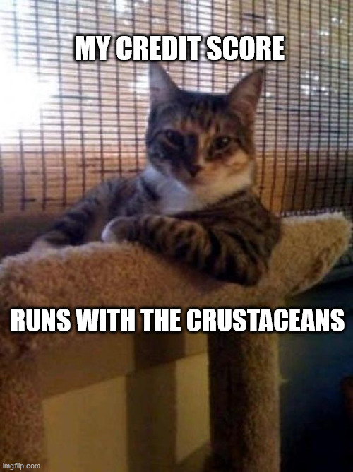 The Most Interesting Cat In The World | MY CREDIT SCORE; RUNS WITH THE CRUSTACEANS | image tagged in memes,the most interesting cat in the world | made w/ Imgflip meme maker