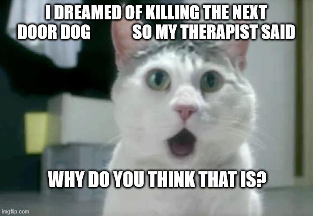 OMG Cat | I DREAMED OF KILLING THE NEXT DOOR DOG             SO MY THERAPIST SAID; WHY DO YOU THINK THAT IS? | image tagged in memes,omg cat | made w/ Imgflip meme maker