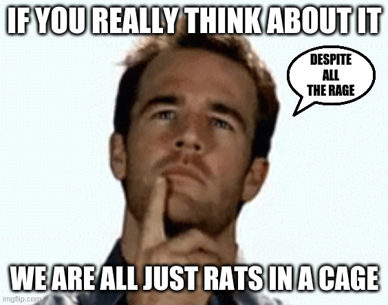 interesting | IF YOU REALLY THINK ABOUT IT; DESPITE ALL THE RAGE; WE ARE ALL JUST RATS IN A CAGE | image tagged in interesting | made w/ Imgflip meme maker