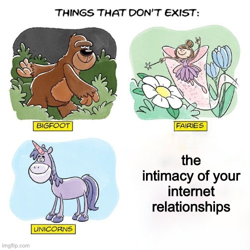 P | the intimacy of your internet relationships | image tagged in things that don't exist | made w/ Imgflip meme maker
