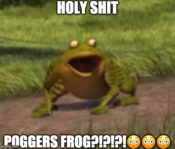 HOLY SHIT; POGGERS FROG?!?!?!😳😳😳 | made w/ Imgflip meme maker