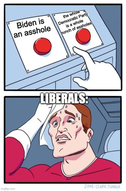 Liberals! | the whole Democratic Party is a whole bunch of assholes; Biden is an asshole; LIBERALS: | image tagged in memes,two buttons | made w/ Imgflip meme maker