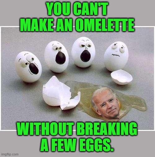 This Broken Egg | YOU CAN'T MAKE AN OMELETTE WITHOUT BREAKING A FEW EGGS. | image tagged in this broken egg | made w/ Imgflip meme maker