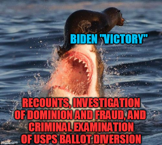 An improved remake I think, of  Fat_kids_win_at_seesaw's overhopeful-for-Biden meme | BIDEN "VICTORY"; RECOUNTS, INVESTIGATION OF DOMINION AND FRAUD, AND 
CRIMINAL EXAMINATION OF USPS BALLOT DIVERSION | image tagged in memes,travelonshark,election fraud,dominion software,ballot theft,trump 2020 | made w/ Imgflip meme maker