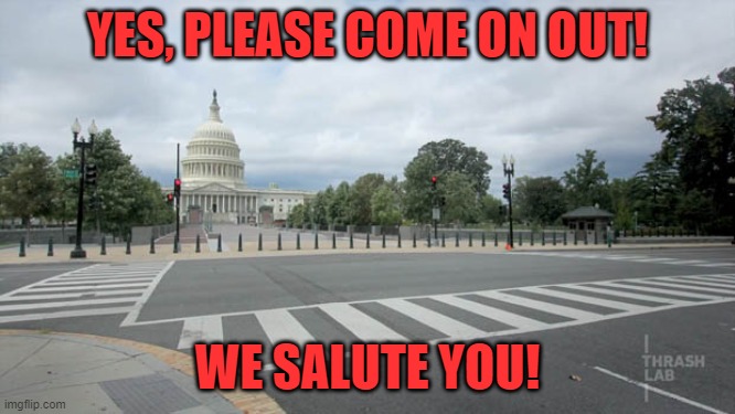 Empty Street in Washington DC | YES, PLEASE COME ON OUT! WE SALUTE YOU! | image tagged in empty street in washington dc | made w/ Imgflip meme maker