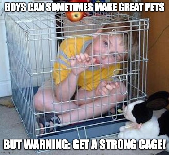 Boy in Cage | BOYS CAN SOMETIMES MAKE GREAT PETS; BUT WARNING: GET A STRONG CAGE! | image tagged in cage,boy,memes | made w/ Imgflip meme maker