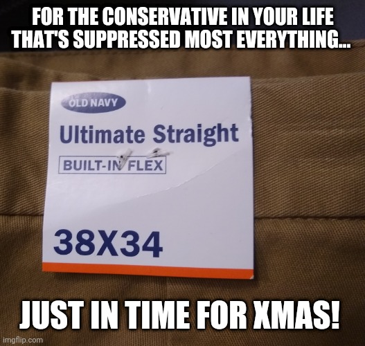Homophobic Khakis | FOR THE CONSERVATIVE IN YOUR LIFE THAT'S SUPPRESSED MOST EVERYTHING... JUST IN TIME FOR XMAS! | image tagged in gay,homophobic,conservatives,stone age,religion | made w/ Imgflip meme maker