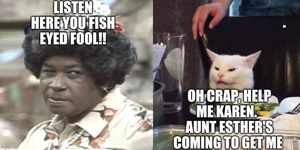 LISTEN HERE YOU FISH EYED FOOL!! JM; OH CRAP, HELP ME KAREN.   AUNT ESTHER'S COMING TO GET ME | image tagged in smudge the cat,aunt esther | made w/ Imgflip meme maker
