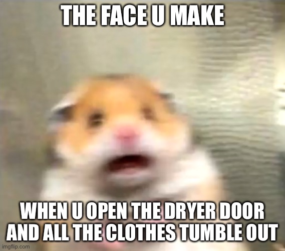 Scared Hamster | THE FACE U MAKE; WHEN U OPEN THE DRYER DOOR AND ALL THE CLOTHES TUMBLE OUT | image tagged in scared hamster | made w/ Imgflip meme maker