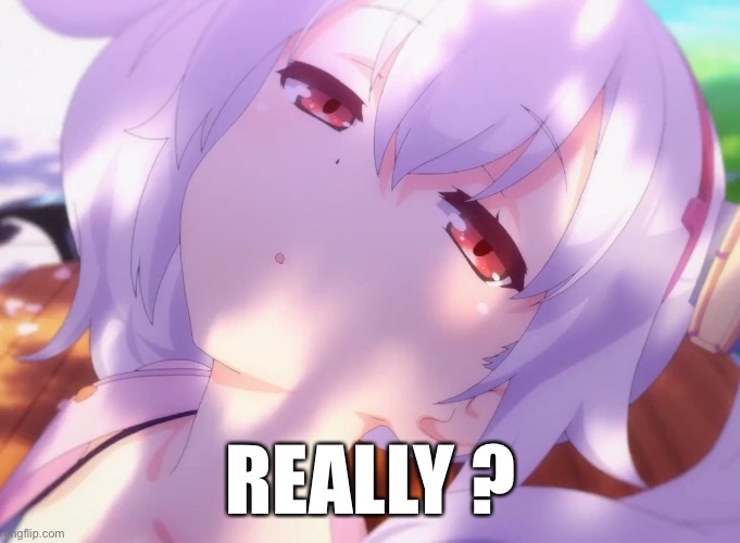 Azur Lane meme | REALLY ? | image tagged in anime,anime meme | made w/ Imgflip meme maker