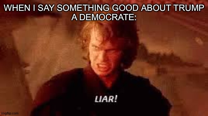 Your average democrate | WHEN I SAY SOMETHING GOOD ABOUT TRUMP
A DEMOCRATE: | image tagged in anakin liar,democrats | made w/ Imgflip meme maker