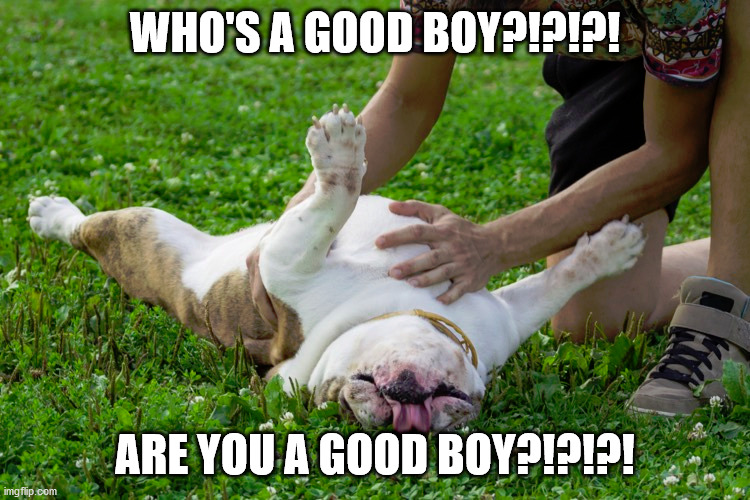 WHO'S A GOOD BOY?!?!?! ARE YOU A GOOD BOY?!?!?! | made w/ Imgflip meme maker