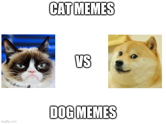 We need to settle this | CAT MEMES; VS; DOG MEMES | image tagged in blank white template,doge,grumpy cat | made w/ Imgflip meme maker