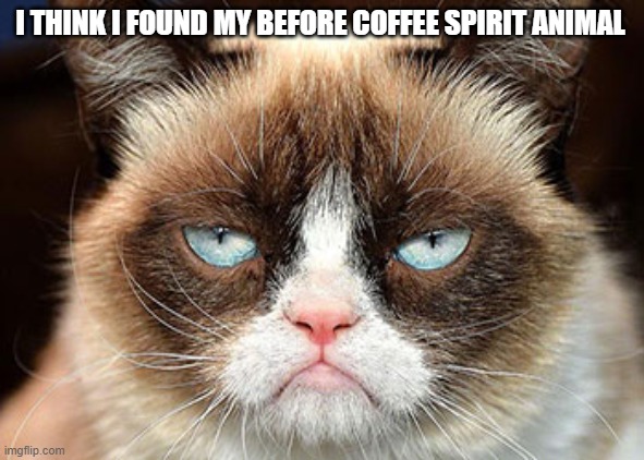 I THINK I FOUND MY BEFORE COFFEE SPIRIT ANIMAL | image tagged in coffee,morning | made w/ Imgflip meme maker