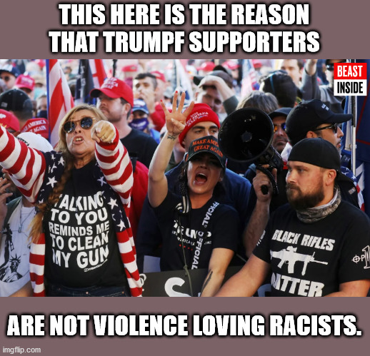From yesterday's MAGA [Thousand] March.  Plus they got to see the My Pillow Guy. | THIS HERE IS THE REASON THAT TRUMPF SUPPORTERS; ARE NOT VIOLENCE LOVING RACISTS. | image tagged in magas,maga,racists,white supremacy,proud boys,kkk | made w/ Imgflip meme maker