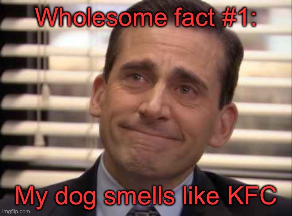 wholesome | Wholesome fact #1:; My dog smells like KFC | image tagged in wholesome | made w/ Imgflip meme maker