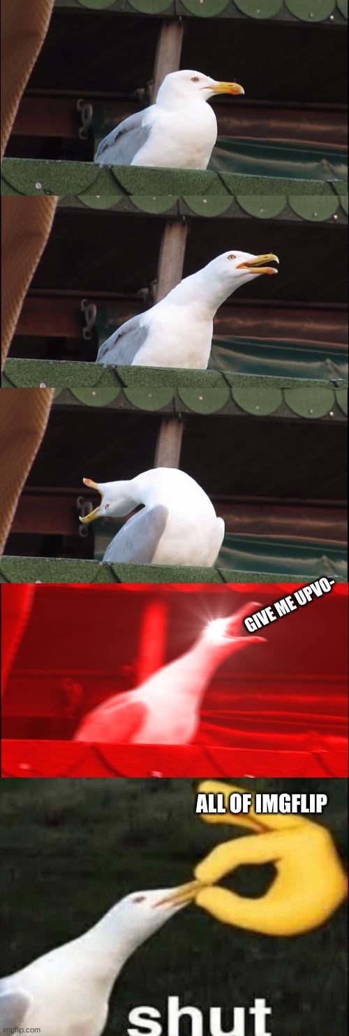 What an original meme am i right | GIVE ME UPVO-; ALL OF IMGFLIP | image tagged in memes,inhaling seagull,shut | made w/ Imgflip meme maker