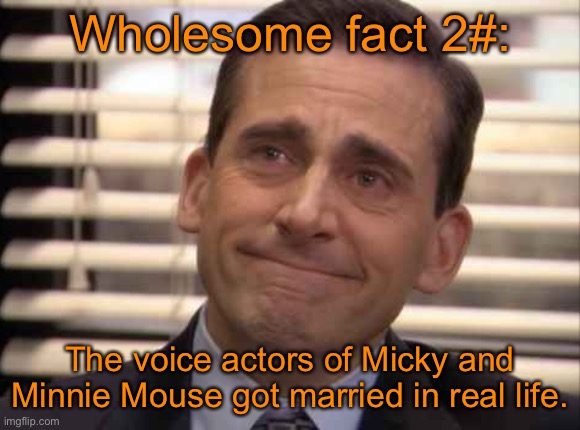 wholesome | Wholesome fact 2#:; The voice actors of Micky and Minnie Mouse got married in real life. | image tagged in wholesome | made w/ Imgflip meme maker