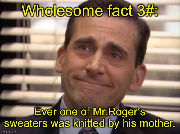 wholesome | Wholesome fact 3#:; Ever one of Mr.Roger’s sweaters was knitted by his mother. | image tagged in wholesome | made w/ Imgflip meme maker