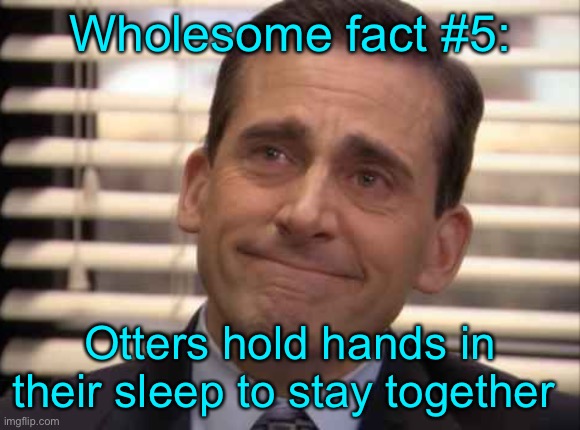 wholesome | Wholesome fact #5:; Otters hold hands in their sleep to stay together | image tagged in wholesome | made w/ Imgflip meme maker