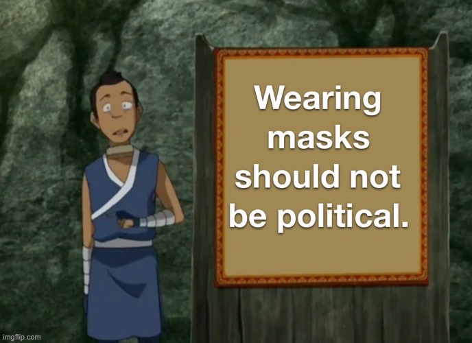 Sokka is Right! | image tagged in masks,masks work,wear a mask | made w/ Imgflip meme maker