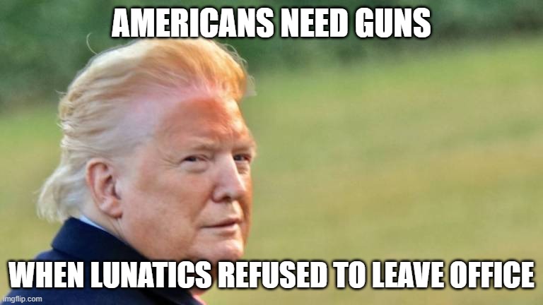 I understand why now |  AMERICANS NEED GUNS; WHEN LUNATICS REFUSED TO LEAVE OFFICE | image tagged in guns,donald trump,election 2020 | made w/ Imgflip meme maker