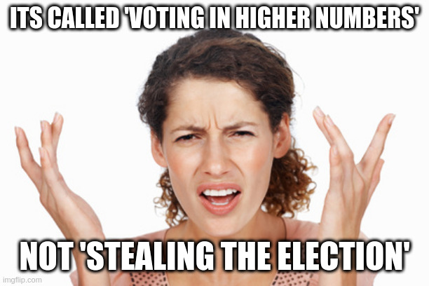 Indignant | ITS CALLED 'VOTING IN HIGHER NUMBERS'; NOT 'STEALING THE ELECTION' | image tagged in indignant | made w/ Imgflip meme maker
