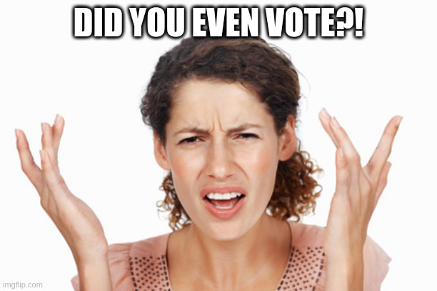 Indignant | DID YOU EVEN VOTE?! | image tagged in indignant | made w/ Imgflip meme maker