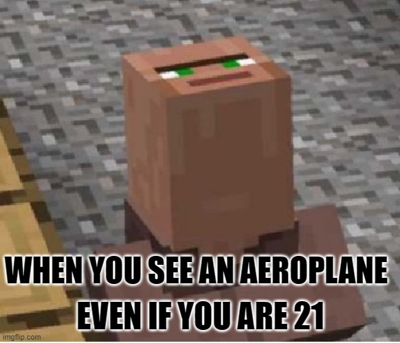 Minecraft Villager Looking Up | EVEN IF YOU ARE 21; WHEN YOU SEE AN AEROPLANE | image tagged in minecraft villager looking up | made w/ Imgflip meme maker