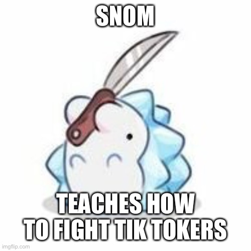 Snom has knife | SNOM; TEACHES HOW TO FIGHT TIK TOKERS | image tagged in snom has knife | made w/ Imgflip meme maker