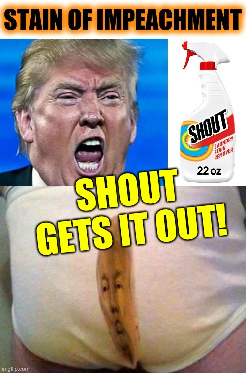 SHOUT GETS IT OUT! | image tagged in shout,shit stain,underwear,trump loses,impeachment,election 2020 | made w/ Imgflip meme maker