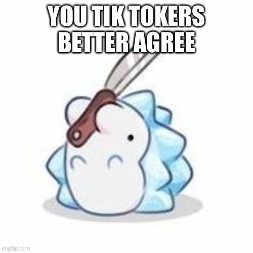 Snom has knife | YOU TIK TOKERS BETTER AGREE | image tagged in snom has knife | made w/ Imgflip meme maker