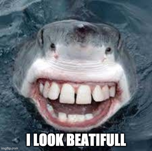 I LOOK BEATIFULL | image tagged in shark | made w/ Imgflip meme maker