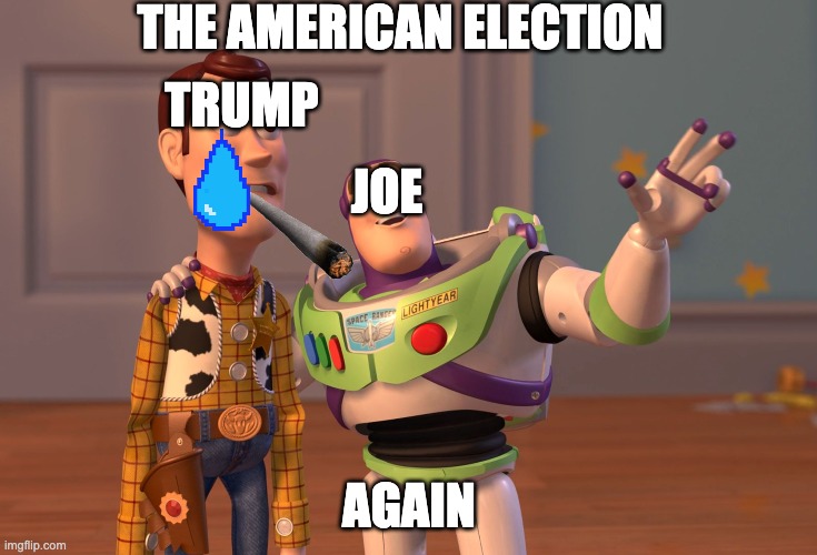 X, X Everywhere | THE AMERICAN ELECTION; TRUMP; JOE; AGAIN | image tagged in memes,x x everywhere | made w/ Imgflip meme maker