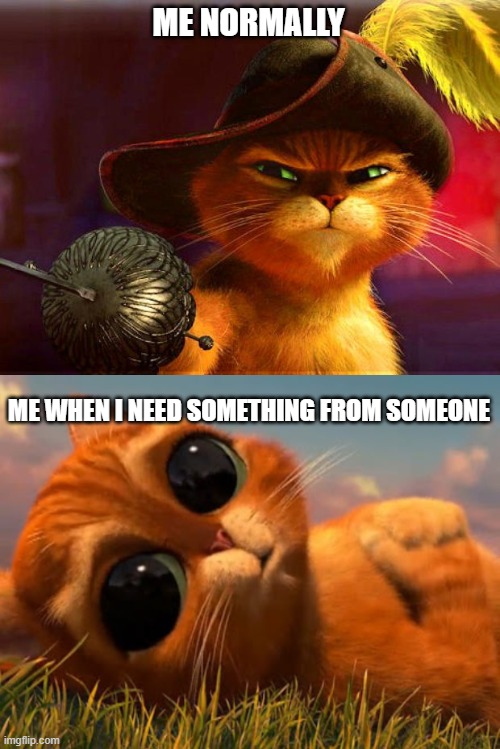 huh | ME NORMALLY; ME WHEN I NEED SOMETHING FROM SOMEONE | image tagged in puss in boots,baby puss in boots | made w/ Imgflip meme maker