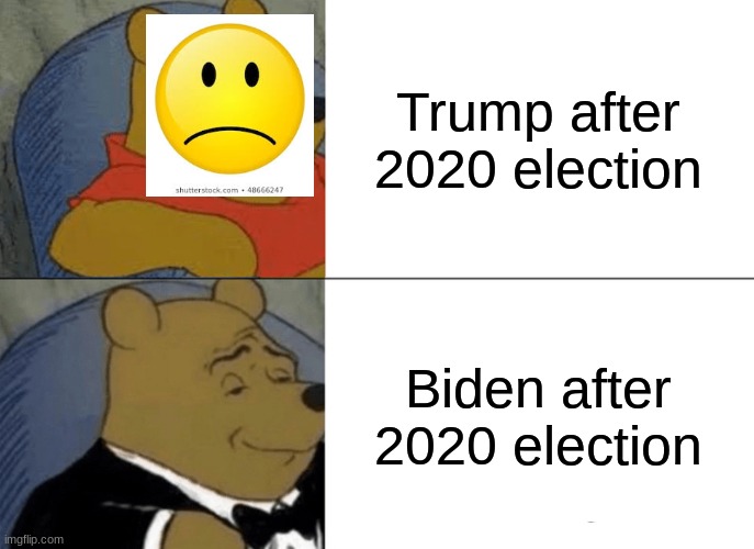 Election | Trump after 2020 election; Biden after 2020 election | image tagged in memes,tuxedo winnie the pooh | made w/ Imgflip meme maker