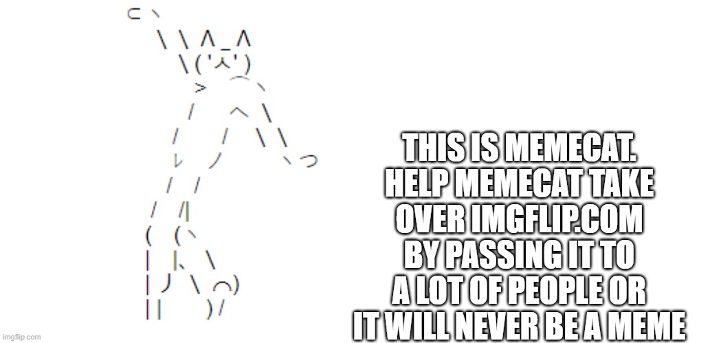 Plain White | THIS IS MEMECAT. HELP MEMECAT TAKE OVER IMGFLIP.COM BY PASSING IT TO A LOT OF PEOPLE OR IT WILL NEVER BE A MEME | image tagged in spread | made w/ Imgflip meme maker