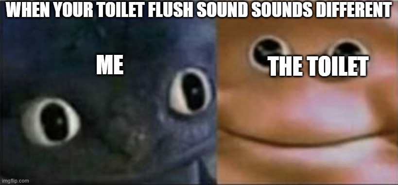 o | WHEN YOUR TOILET FLUSH SOUND SOUNDS DIFFERENT; ME; THE TOILET | image tagged in blank stare dragon | made w/ Imgflip meme maker