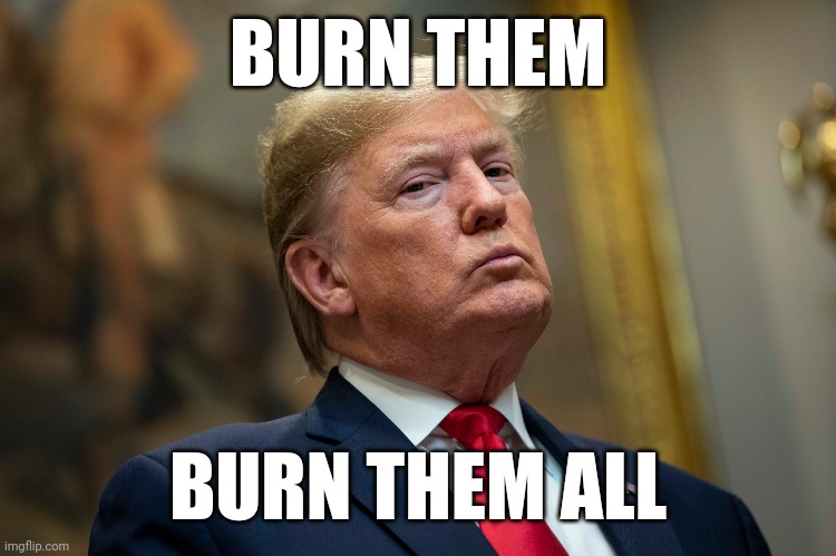 Mad King Trump | BURN THEM; BURN THEM ALL | image tagged in trump | made w/ Imgflip meme maker
